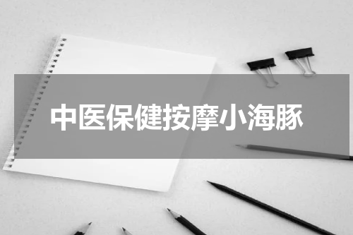 中医保健按摩小海豚