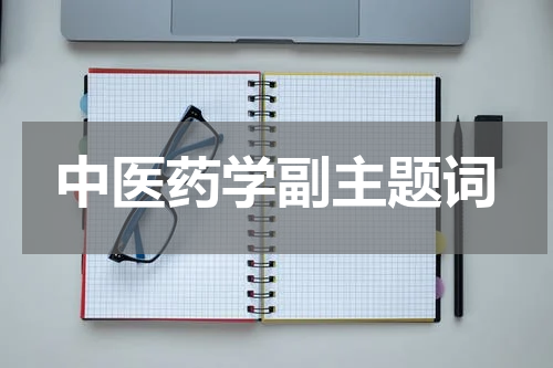 中医药学副主题词