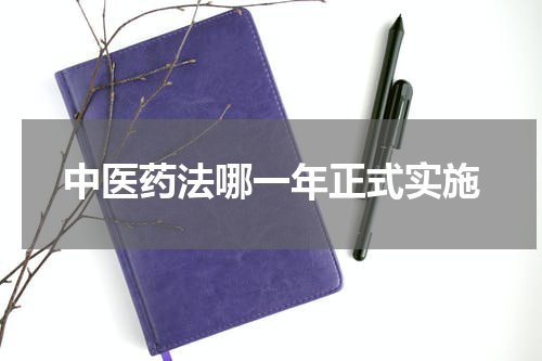 中医药法哪一年正式实施