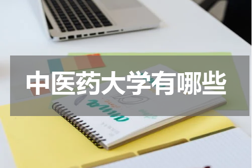 中医药大学有哪些