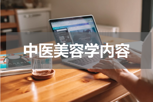 中医美容学内容