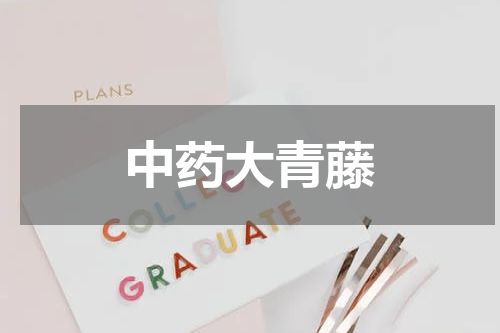 中药大青藤