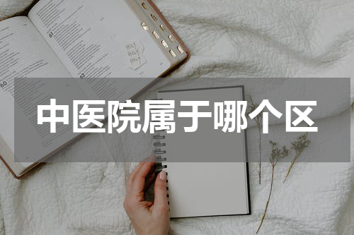 中医院属于哪个区