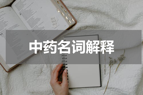 中药名词解释