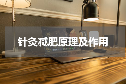 针灸减肥原理及作用
