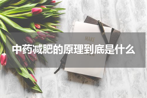 中药减肥的原理到底是什么