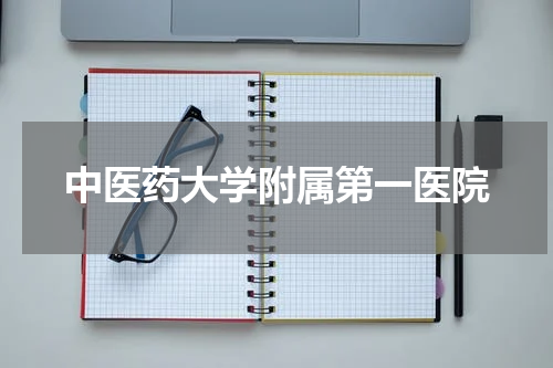 中医药大学附属第一医院