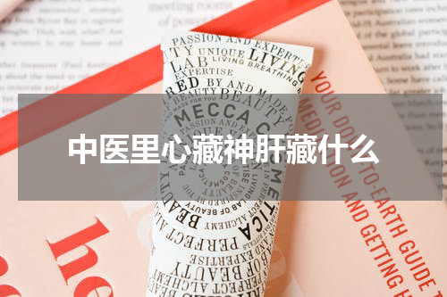 中医里心藏神肝藏什么