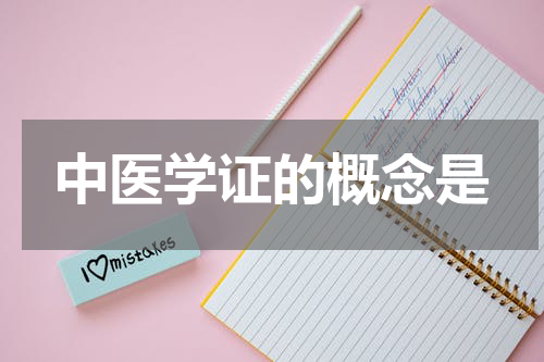中医学证的概念是