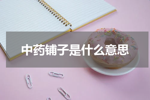 中药铺子是什么意思