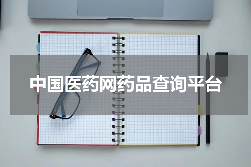 中国医药网药品查询平台