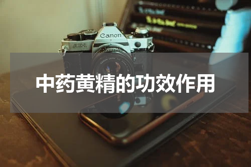 中药黄精的功效作用