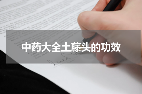 中药大全土藤头的功效