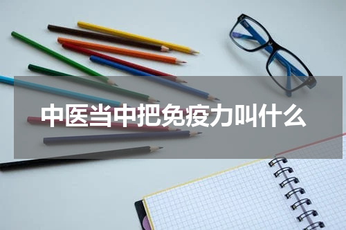 中医当中把免疫力叫什么