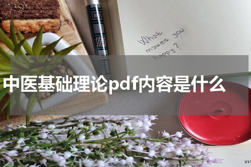 中医基础理论pdf内容是什么
