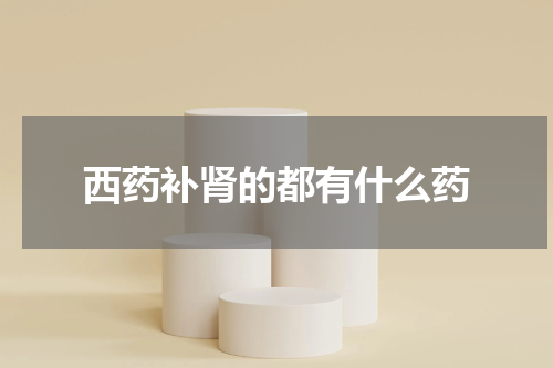 西药补肾的都有什么药