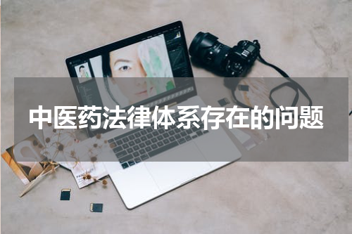中医药法律体系存在的问题