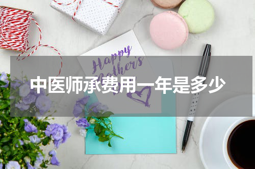 中医师承费用一年是多少