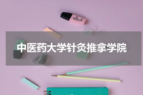 中医药大学针灸推拿学院