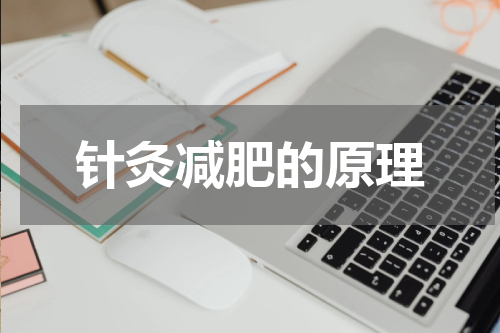 针灸减肥的原理