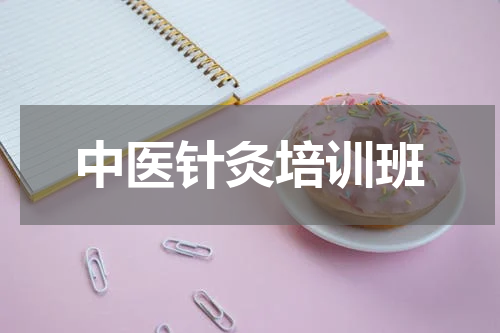 中医针灸培训班