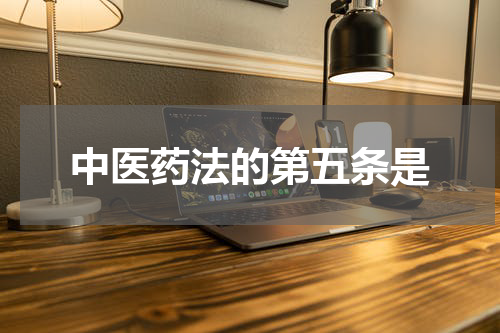中医药法的第五条是