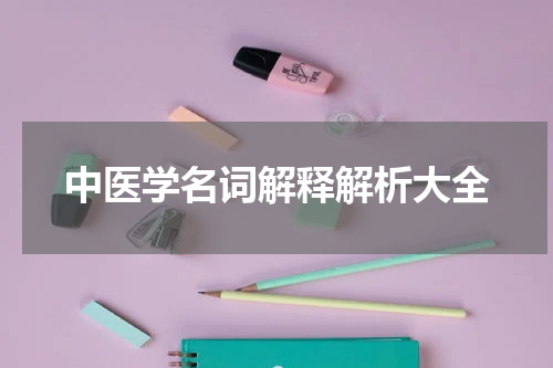 中医学名词解释解析大全