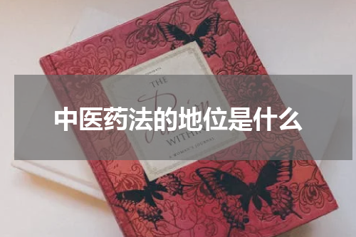 中医药法的地位是什么