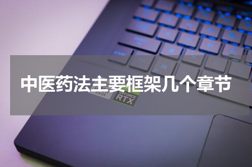 中医药法主要框架几个章节