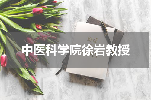中医科学院徐岩教授