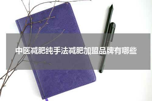 中医减肥纯手法减肥加盟品牌有哪些