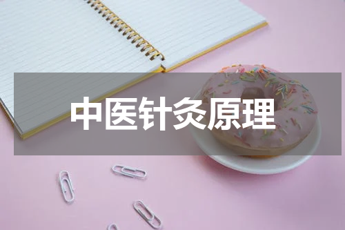 中医针灸原理