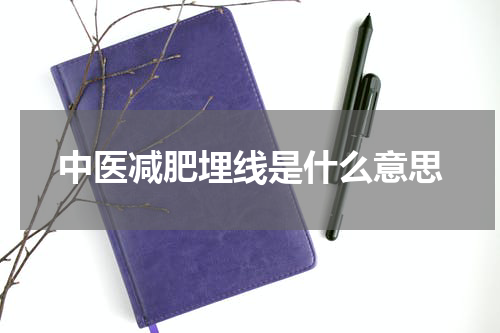 中医减肥埋线是什么意思