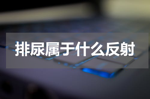 排尿属于什么反射