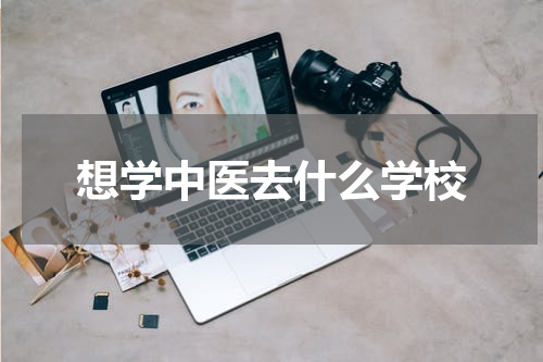 想学中医去什么学校