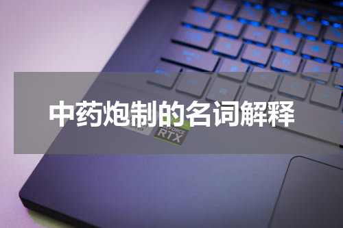 中药炮制的名词解释