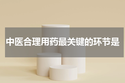 中医合理用药最关键的环节是
