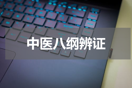 中医八纲辨证