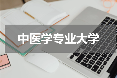 中医学专业大学