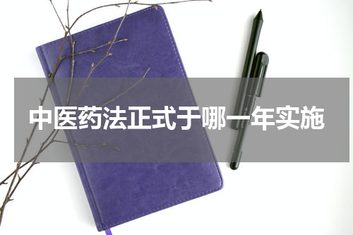 中医药法正式于哪一年实施