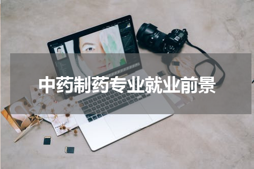 中药制药专业就业前景