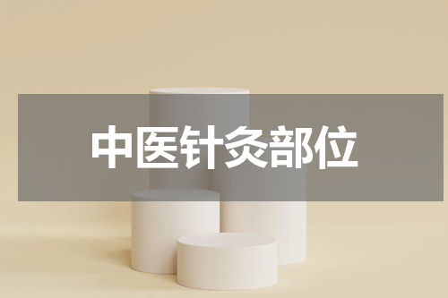 中医针灸部位