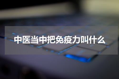 中医当中把免疫力叫什么