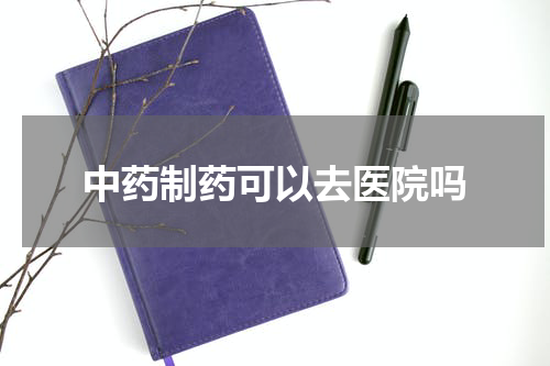 中药制药可以去医院吗