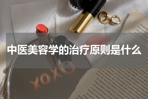 中医美容学的治疗原则是什么