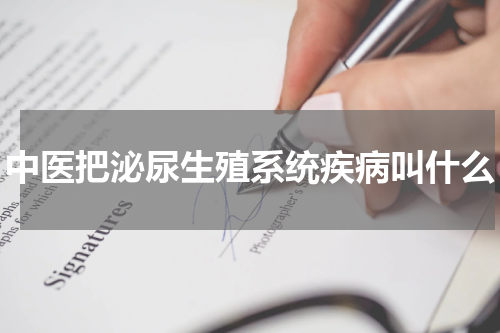 中医把泌尿生殖系统疾病叫什么