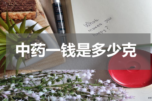 中药一钱是多少克