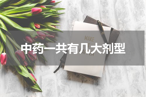 中药一共有几大剂型