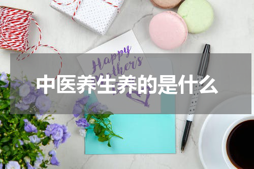 中医养生养的是什么