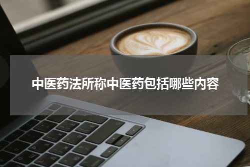 中医药法所称中医药包括哪些内容